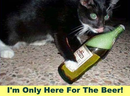 MySpace Alcohol Comments