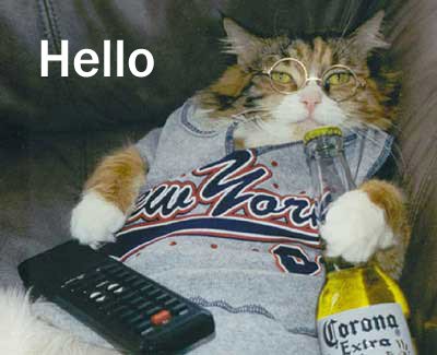 MySpace Alcohol Comments