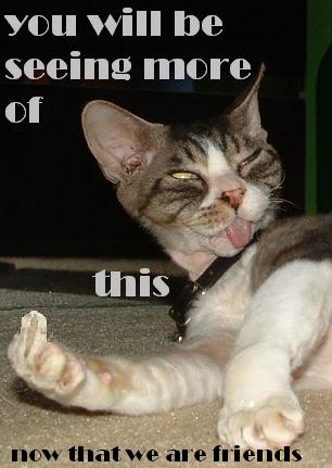 MySpace animals Comments