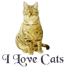 MySpace animals Comments